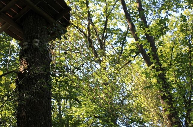 Redes en los árboles del parque 